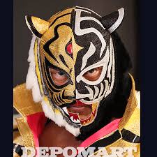 タイガーマスク伝説のヒーロー、タイガーマスクが織り成す物語と影響力タイガーマスク